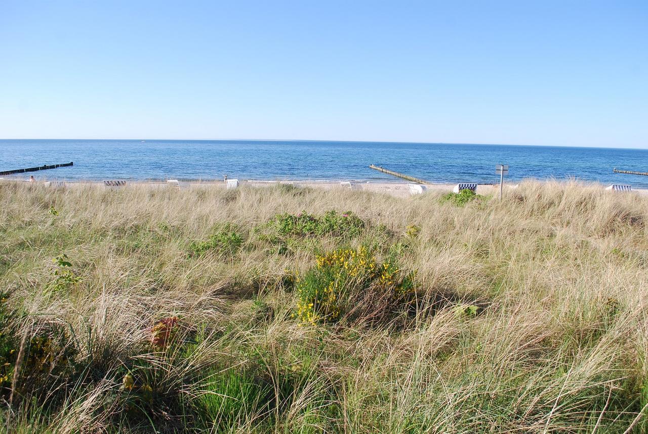 Ferienwohnungen Am Rosenhof Ostseebad Kühlungsborn Εξωτερικό φωτογραφία
